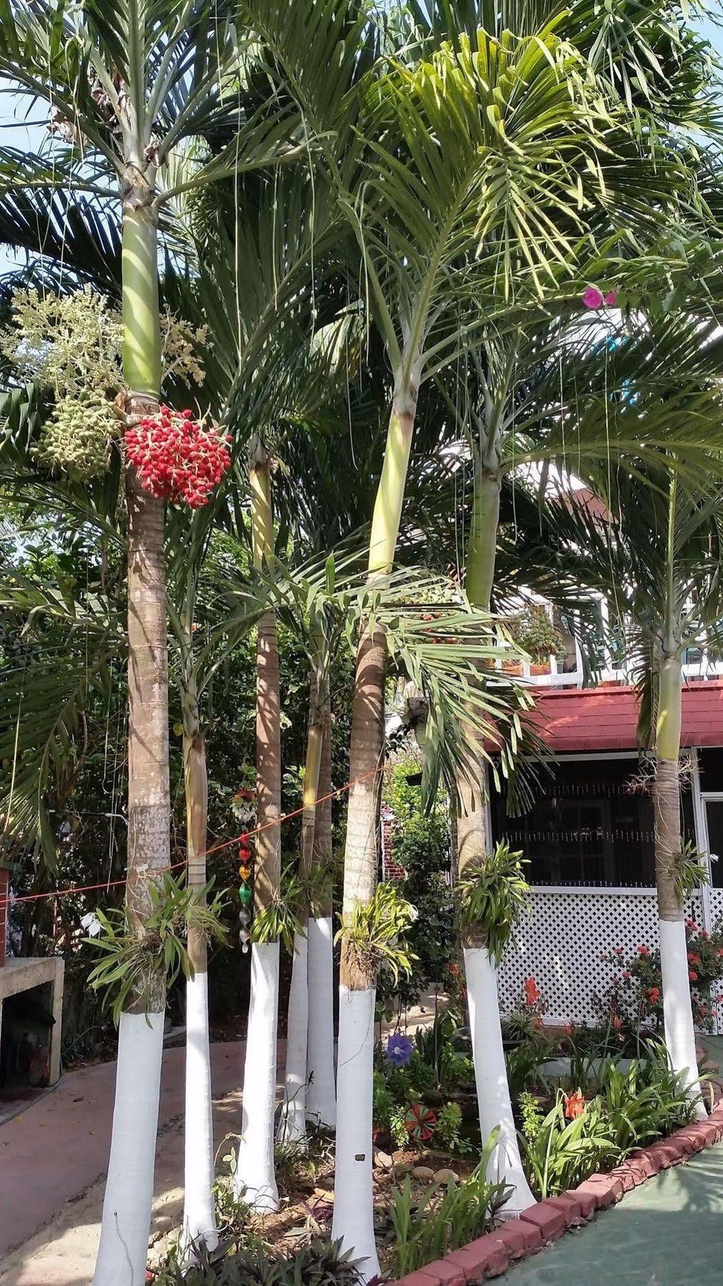 San Andres Ultd Inn Rnt # 30017 ภายนอก รูปภาพ